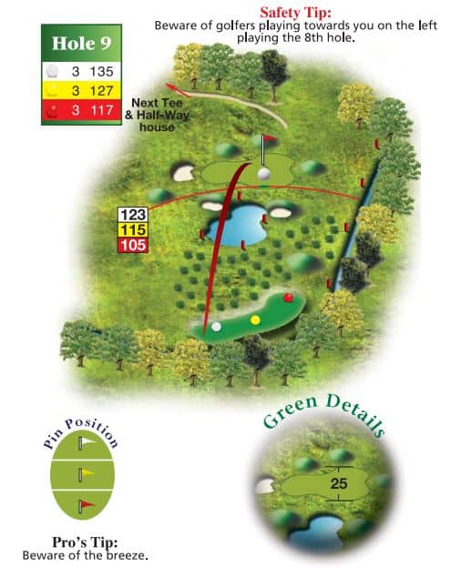 The Wiltshire Hole 9